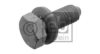 FIAT 16043324SK Pulley Bolt